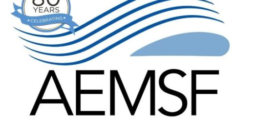80th AEMSF Logo