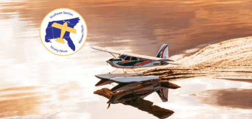 Seaplane landing with the sunset reflecting on the water and the Southeast Section logo in the top left