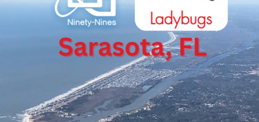 An aerial view of the eastern shoreboard with the numerical 99s logo adjacent to the SRQ Ladybugs logo and the words Sarasota, FL